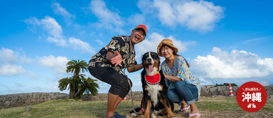 なんくるない社は沖縄県にある古宇利島でドッグリゾートを運営しております。